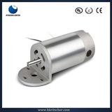 5-300W BLDC Electric Motor for Running Machine/House Application