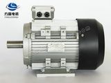 Ye2 0.75kw-2 High Efficiency Ie2 Asynchronous Induction AC Motor