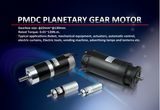 12/24V PMDC Gear Motor
