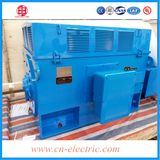 1kv 16kw High Voltage Three Phase Induction AC Motor Price