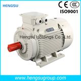 Ye2 18.5kw-2p Cast Iron Three Phase AC Induction Electric Motor