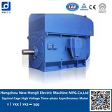 Three Phase AC Induction Motor, AC Induction Motor