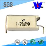 Wh Model 10W 5.3ohm Wire Wound Fuse Resistors