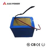 Deep Cycle LiFePO4 Lithium Battery Pack for Electric Bicycle