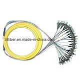 FC Upc Singemode 24 Core Fiber Optic Pigtail