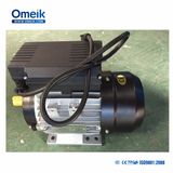 750W Capacitor Running Single Phase Asynchronous Motor