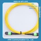 MPO Fiber Optic Patch Cord