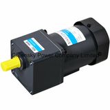 Mini Vibrating AC Induction Motor