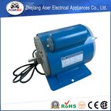 Impeccable Exceptional Unusual Double Shaft Motor