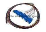 12fiber Singlemode Sc/Upc Optical Fiber Pigtail 0.9mm