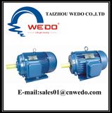 Y90L-4 Three-Phase Induction Motor (WEDO)