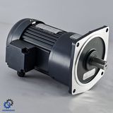 CV...S Vertical High Ratio Single-Phase AC Brake Motor_D