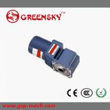 GS High Quality 90mm 120W AC Worm Gear Angle Motor