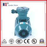 380V Three Phase Explosion-Proof Asynchronous Motor with CE