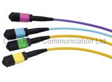 12f MPO-MPO Patchcord Jumper Optical Fiber Connector Ribbon Cable Sm mm