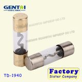 Hot Sale Golden Plated Glass Power Fuse/Glass Car Fuse/ Auto Fuse