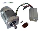 12VDC Brushless DC Motor with Output Speed 4-5rpm
