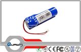 (1S1P) 3.7V 3100mAh Lithium Battery Pack
