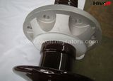 DIN Standard HV Transformer Bushing Insulators for Substations & Transmissions
