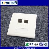 CAT6 Double RJ45 Wall Face Plate/Faceplate Network LAN