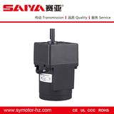 15W Mirco AC Induction Motor for Automation Equipment