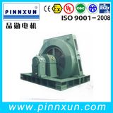 T Series High Quality Hot Sale Best Synchronous Motor 750kw
