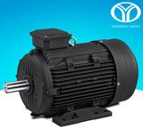 Permanent Magnet AC Synchronous Motor (18.5kw, 15kw, 380V-50Hz)