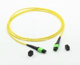 MPO/APC to MPO/APC Fiber Optical Patchcord