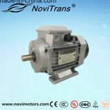 Novitrans Automatic Current Control Limiting Permanent-Magnet Motor 550W