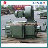 Direct Current Electric Medium Size DC Motor