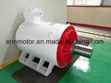 Pmsm System for Belt Conveyor