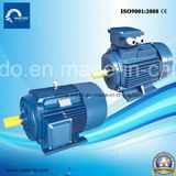 Electrical Motor Cast Iron Three-Phase Asynchronous Induction Motor