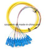 Optical Fiber 12 Cores Bound Pigtail for Fiber Optic Data Transmission/Network