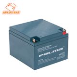 High Export Rate ABS Container Batteries 12V 24ah for UPS