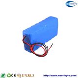 LiFePO4 Battery Pack 48V 10ah