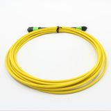MPO/PC 12cores Fiber Optic Patch-Cord