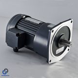 Vertical Brake-Single-Phase Aluminium AC Gear Motor_D