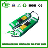 36V 10ah E-Bike Battery Li-ion Battery Pack for Mini E-Bike Electric Folding Bike in China with Battery Charger