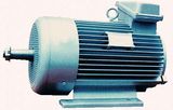 Ie 3 High Efficiency 55kw AC Three Phase Electric Motor