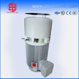 Vertical Hollow Shaft Electric Motor for Vertical Deep Well Turbine Pump