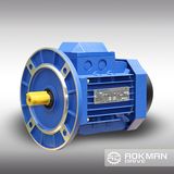 Qualified AC Gear Motor with Competitive Price