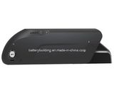 Newest Style E-Bike Battery Pack with Matching Controller