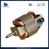 AC Motor for Mixer/Food Processor