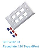 120 Type, 6 Port, Faceplate