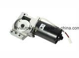 Passenger Car Door Pump Motor