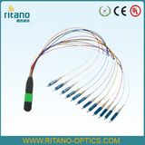 MPO-LC 8core Optical Fiber Cable Multi-Patchcords Fanout Length 50cm