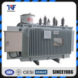13.8kv Electric Automatic Step Voltage Regulator