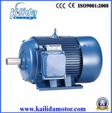 Y Series 380V Three Phase AC Electric Motor with Ce