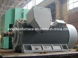 Factory Price Big Size Three Phase Squirrel Cage Asynchronous Induction AC Motor