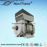 Universal AC VFD Permanent-Magnet Motor 550W 60Hz